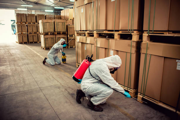 Best Pest Control Near Me  in Loudonville, NY