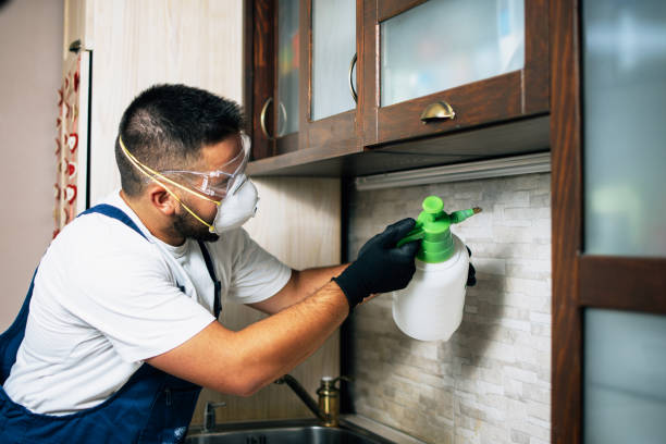 Best Ant Control Services  in Loudonville, NY