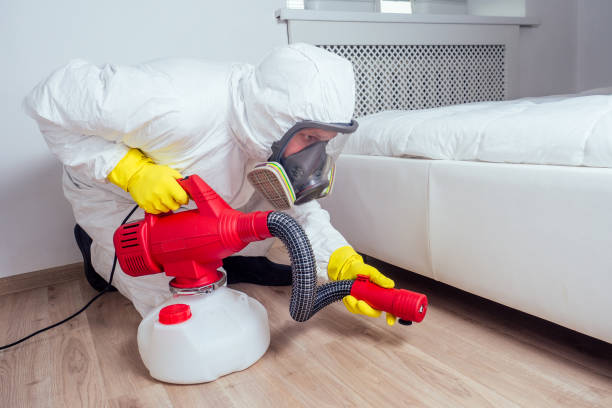Best Pest Removal Services  in Loudonville, NY