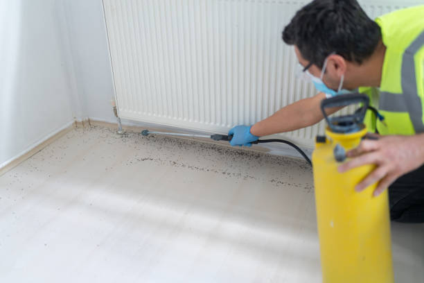 Best Wasp Removal Services  in Loudonville, NY