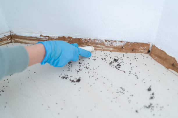 Best Residential Pest Control  in Loudonville, NY